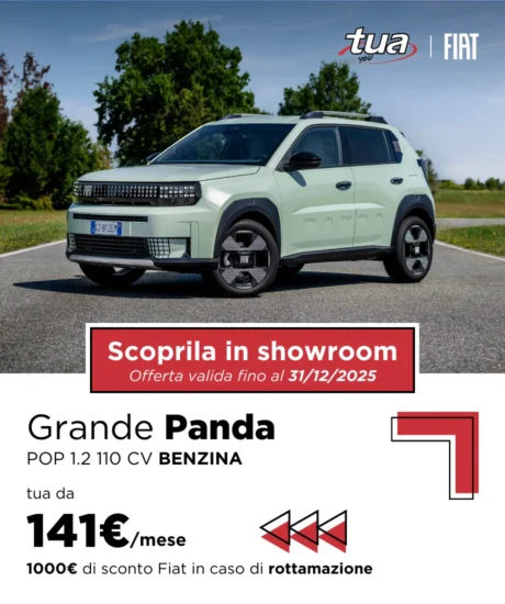 Nuova Grande Panda Benzina