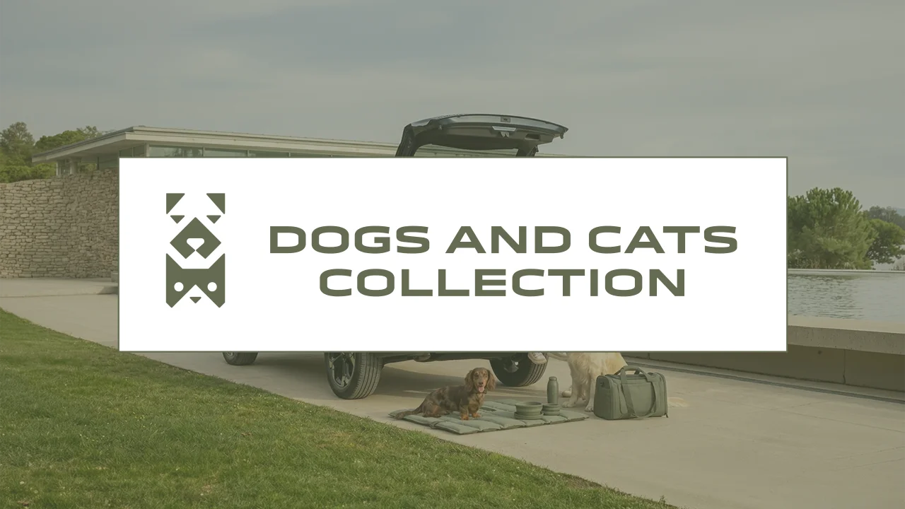dacia dogs and cats collection